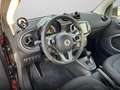 smart forTwo EQ 60kWed passion SHZ PDC Dig Radio Tempom Rot - thumbnail 13