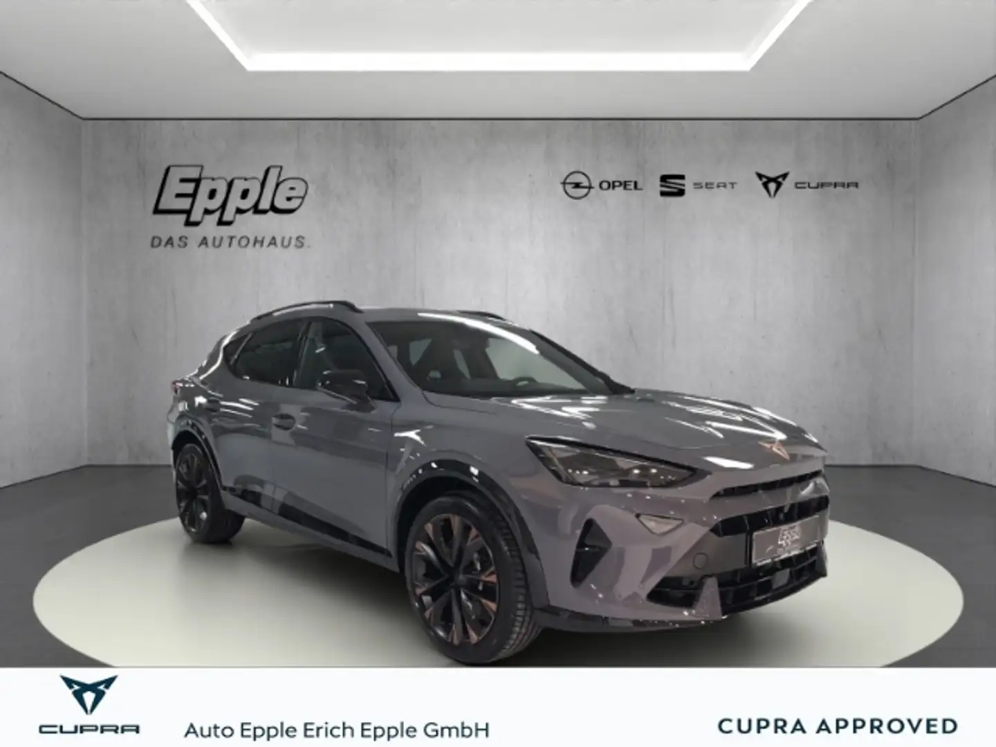 CUPRA Formentor VZ 2.0 TSI Navi Winterpaket Klimaaut. Kamera Gris - 1