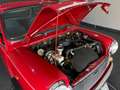 Rover MINI 1.0  XL VEICOLO ORIGINALE Червоний - thumbnail 14