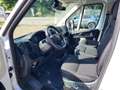 Fiat Ducato 35 2.2 Mjt 180CV XLH1 Doppia Cabina Casson Bianco - thumbnail 6
