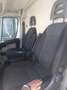 Fiat Ducato MAXI MAXI Bianco - thumbnail 6