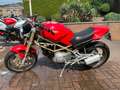 Ducati Monster 750 VISITE SUR RENDEZ VOUS Rojo - thumbnail 10