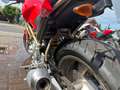 Ducati Monster 750 VISITE SUR RENDEZ VOUS Rojo - thumbnail 17