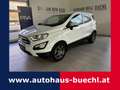 Ford EcoSport 1,0 EcoBoost Trend Weiß - thumbnail 1