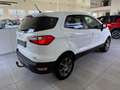 Ford EcoSport 1,0 EcoBoost Trend Weiß - thumbnail 4