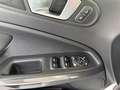 Ford EcoSport 1,0 EcoBoost Trend Weiß - thumbnail 11