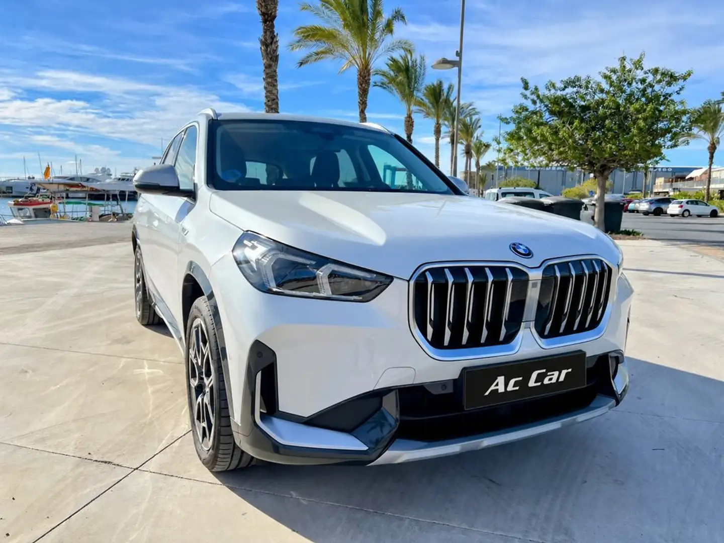 BMW X1 xDrive30eA - 1