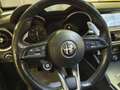 Alfa Romeo Stelvio 2.2 t Veloce Q4 210cv auto Blauw - thumbnail 22
