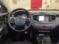 Kia Sorento Rebel Premium 2.0crdi awd auto 7 posti-LEGGI SOTTO Black - thumbnail 12