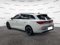 CUPRA Leon Leon Sportstourer 1.5 Hybrid 150 CV DSG Blanco - thumbnail 2