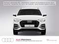 Audi Q5 quattro 40 TDI AHK LED Navi Kamera uvm Weiß - thumbnail 8