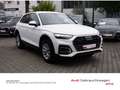Audi Q5 quattro 40 TDI AHK LED Navi Kamera uvm Weiß - thumbnail 3