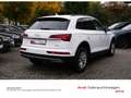 Audi Q5 quattro 40 TDI AHK LED Navi Kamera uvm Weiß - thumbnail 4
