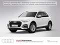 Audi Q5 quattro 40 TDI AHK LED Navi Kamera uvm Weiß - thumbnail 2