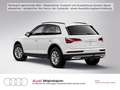 Audi Q5 quattro 40 TDI AHK LED Navi Kamera uvm Weiß - thumbnail 6