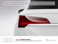 Audi Q5 quattro 40 TDI AHK LED Navi Kamera uvm Weiß - thumbnail 11