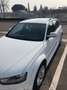 Audi A4 A4 Allroad 2.0 tdi quattro 190cv s-tronic Bianco - thumbnail 14