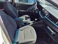 Kia Niro 1.6 PHEV Concept Blanco - thumbnail 6