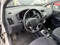 Kia Rio 1,2 MPI Team Austria Edition Weiß - thumbnail 9