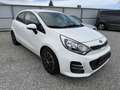 Kia Rio 1,2 MPI Team Austria Edition Weiß - thumbnail 2
