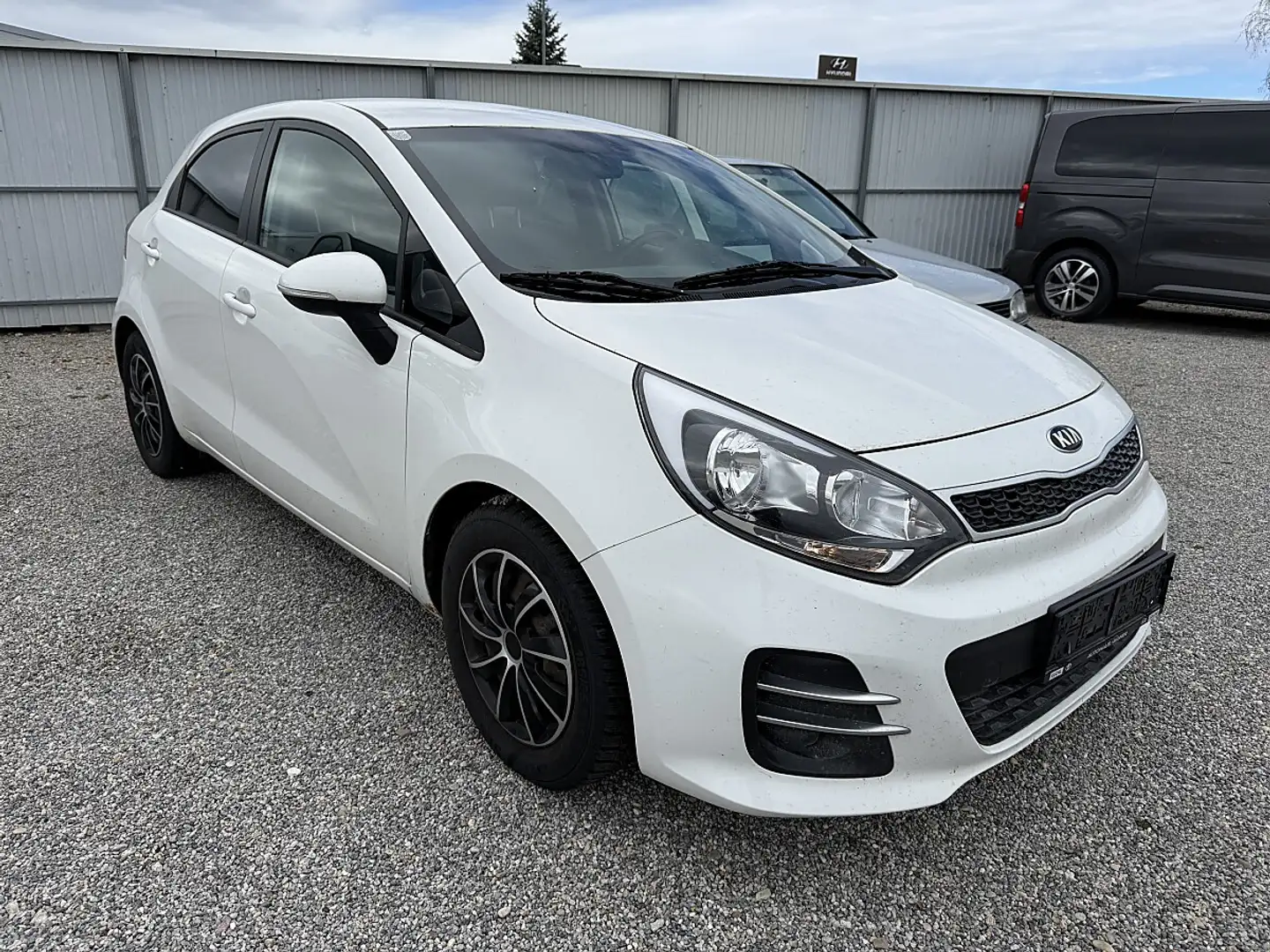 Kia Rio 1,2 MPI Team Austria Edition Weiß - 2