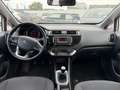 Kia Rio 1,2 MPI Team Austria Edition Weiß - thumbnail 5