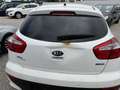 Kia Rio 1,2 MPI Team Austria Edition Weiß - thumbnail 11