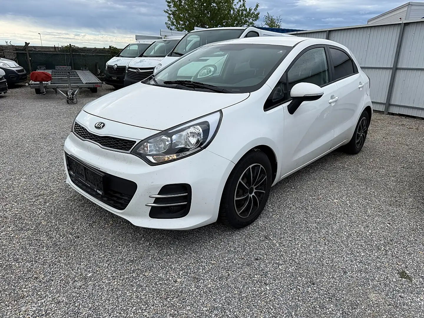 Kia Rio 1,2 MPI Team Austria Edition Weiß - 1