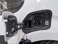 Toyota Proace Electric GX L1 1PL 75Kwh Blanco - thumbnail 6