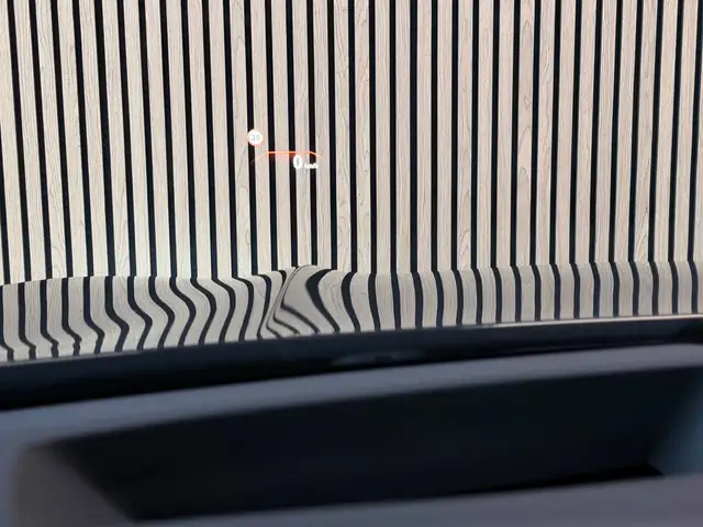 BMW X4 view 19