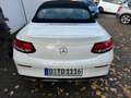 Mercedes-Benz C 200 C 200 Cabrio AMG Hybrid erst 36 TKM VollLeder 1.Hd Weiß - thumbnail 12