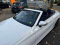 Mercedes-Benz C 200 C 200 Cabrio AMG Hybrid erst 36 TKM VollLeder 1.Hd Weiß - thumbnail 21