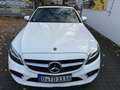 Mercedes-Benz C 200 C 200 Cabrio AMG Hybrid erst 36 TKM VollLeder 1.Hd Weiß - thumbnail 17