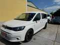 Volkswagen Caddy Maxi 2,0 TDI Style DSG, 7 Sitzer Weiß - thumbnail 16