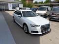 Audi A4 A4 Avant Weiß - thumbnail 22