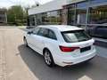 Audi A4 A4 Avant Weiß - thumbnail 5