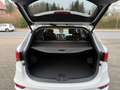 Hyundai SANTA FE blue 25 Jahre 4WD*Automatik"AHK"12MonateGarantie* Blanc - thumbnail 31