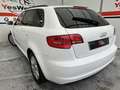 Audi A3 Sportback 1.6TDI Ambiente S-Tronic Blanco - thumbnail 4