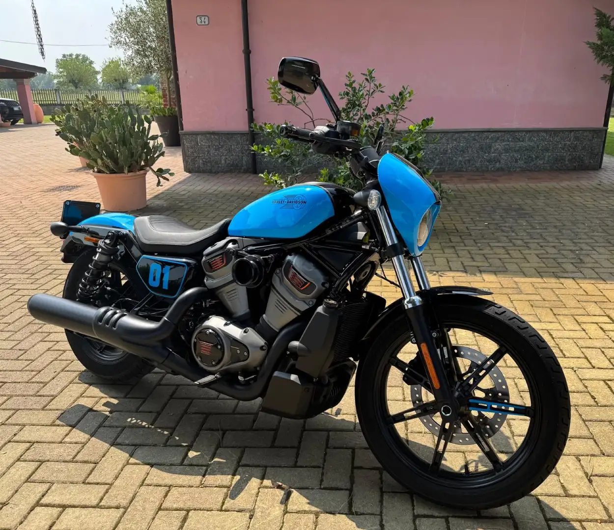 Harley-Davidson Sportster Nightster Special Blu/Azzurro - 2