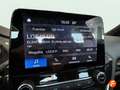 Ford Fiesta 1.0 EcoBoost 103kW(140CV) ST-Line S/S 5p Gris - thumbnail 12