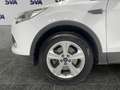 Ford Kuga 2.0d 120CV Titanium - GANCIO TRAINO Bianco - thumbnail 6