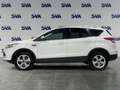 Ford Kuga 2.0d 120CV Titanium - GANCIO TRAINO Bianco - thumbnail 3
