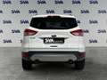 Ford Kuga 2.0d 120CV Titanium - GANCIO TRAINO Bianco - thumbnail 5