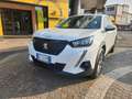 Peugeot 2008 2008 1.5 bluehdi Active Pack s Bianco - thumbnail 12