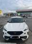 CUPRA Formentor 1,5 TSI ACT Weiß - thumbnail 2