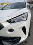 CUPRA Formentor 1,5 TSI ACT Weiß - thumbnail 5