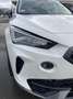 CUPRA Formentor 1,5 TSI ACT Weiß - thumbnail 6