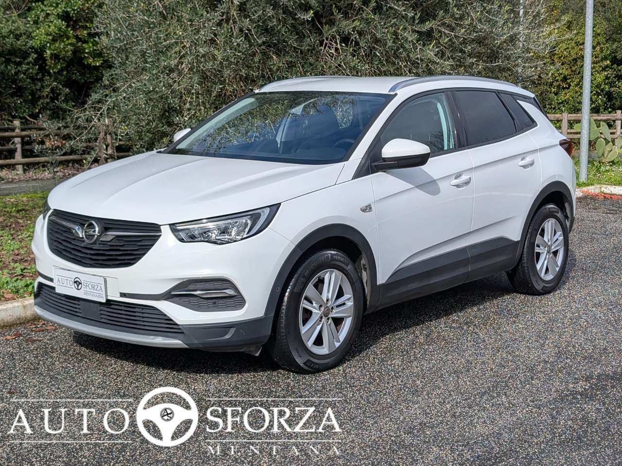 Opel Grandland X 1.5 Ecotec Elegance Automatica Tagliandata E6d