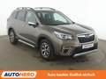 Subaru Forester 2.0 Mild-Hybrid Comfort Aut.*NAVI*LED*ACC*CAM*PDC* Braun - thumbnail 8