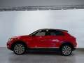 Volkswagen T-Roc Active 1.0TSI Rückfahrkamera Klimaautomatik Rot - thumbnail 3